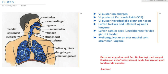 formativ-vurdering1.png